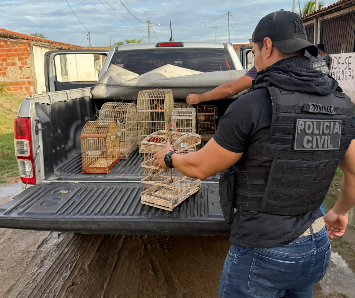 Polícia Civil apreende aves em situação de cativeiro e  maus-tratos em Santa Bárbara