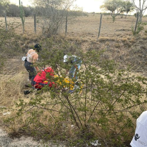 Idoso fica ferido após perder controle da moto e cair na BA-411 (Coité X Salgadália)