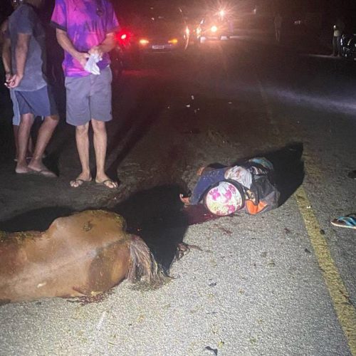 Motociclista morre após colidir com cavalo solto em pista na BA-411 (Conceição do Coité X Salgadália)