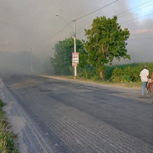 Incêndio atinge vegetação e fumaça atrapalha visão de motoristas em Conceição do Coité; GCM sinalizou local