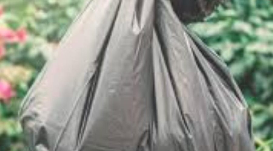 IMG-20250822-WA0234