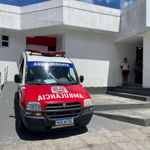 Oito crianças são atacadas por abelhas em escola de Conceição do Coité