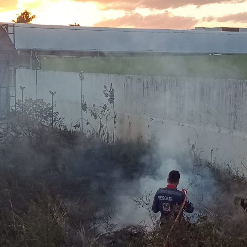 Coité: incêndio se espalha próximo à quadra do Colégio Olgarina e mobiliza equipe do Águia Resgate