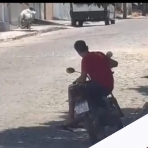Vídeo: Polícia Civil busca identificar homem que “cortou giro” em frente à delegacia de Conceição do Coité