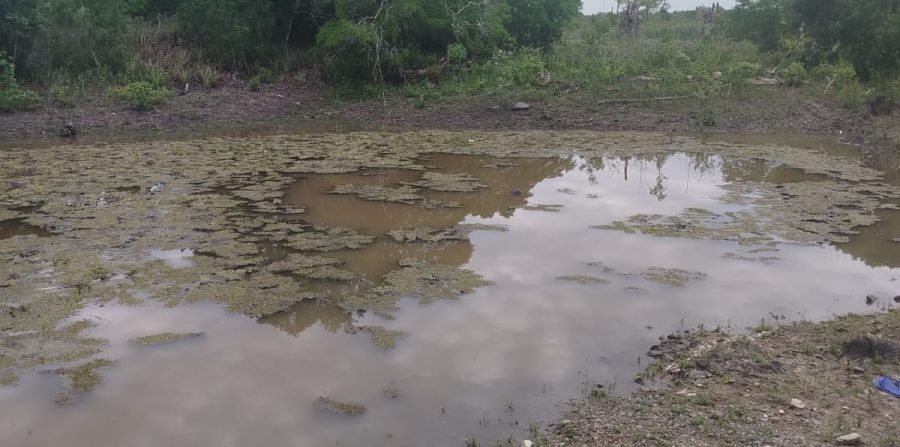 Homem é encontrado morto em tanque no distrito de Bandiaçu em Conceição do Coité