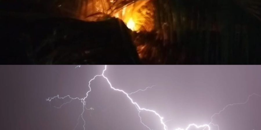 Coqueiro pega fogo em quintal de residência após ser atingido por raio no bairro Casas Populares em Conceição do Coité; descargas podem chegar a 30 mil graus. Confira orientações de segurança!