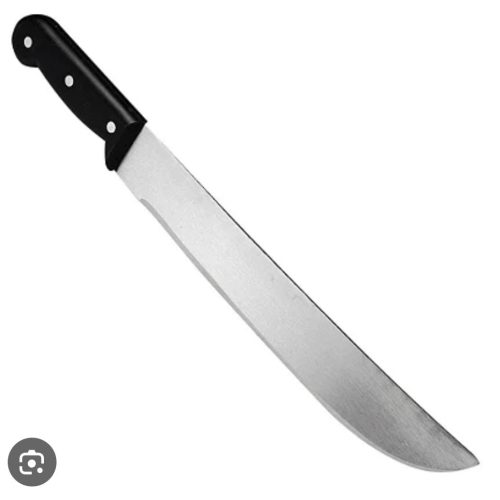 Irmão fere a própria irmã com facão após discussão em Retirolândia