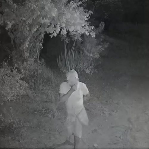 VÍDEO: Após suposta tentativa de latrocínio contra o marido e novo furto, idosa de 72 anos deixa sítio na zona rural de Conceição do Coité