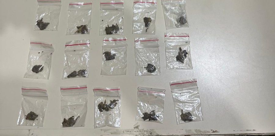 Policiais Militares da CETO prendem jovem e apreendem drogas na rua do Cruzeiro em Conceição do Coité