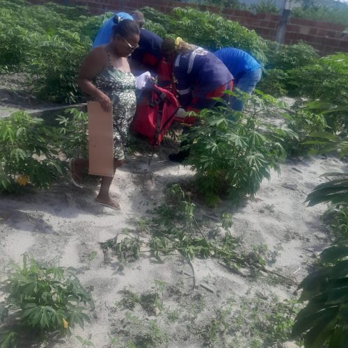 Idoso sofre ferimento grave ao cair em vergalhão enquanto limpava terreno em Conceição do Coité