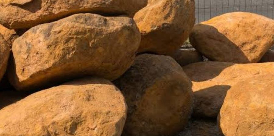 Homem é agredido com pedradas pelo próprio irmão na zona rural de Conceição do Coité