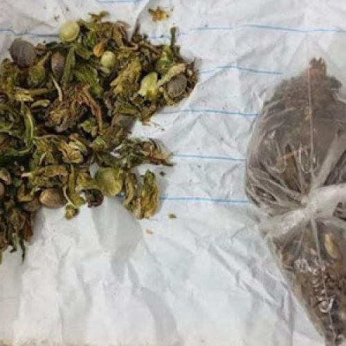 Suspeito de tráfico é preso após tentar fugir de abordagem em Conceição do Coité