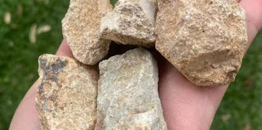 Ichu: Idoso de 77 anos é atingido acidentalmente por pedrada enquanto passava por rua onde duas mulheres brigavam